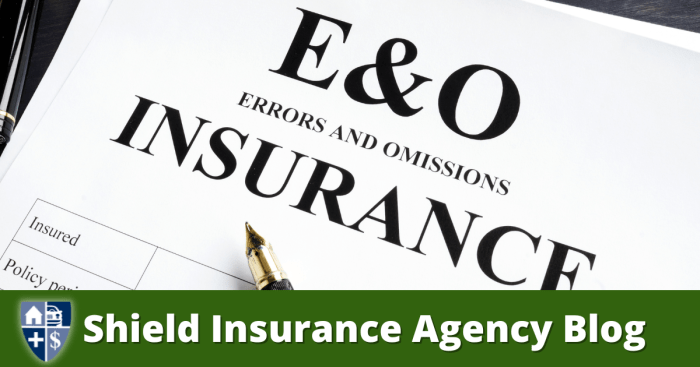 Errors and Omissions Insurance: What It Is, How It Works, and Who Needs It