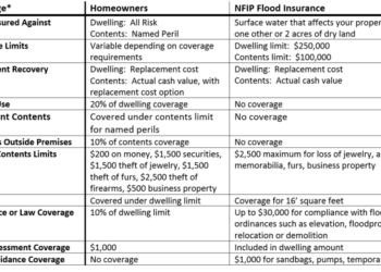 5 Questions to Help Clients Choose Between NFIP or Private Flood ...