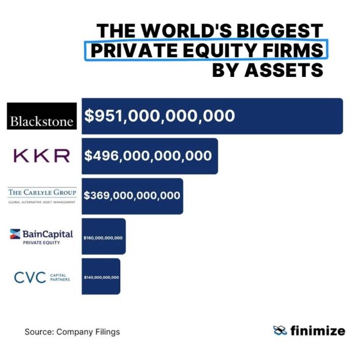 25 Largest Private Equity Firms - Mekko Graphics